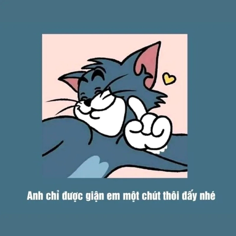 Chốt câu bằng xin lỗi được chưa meme cho dịu lòng
