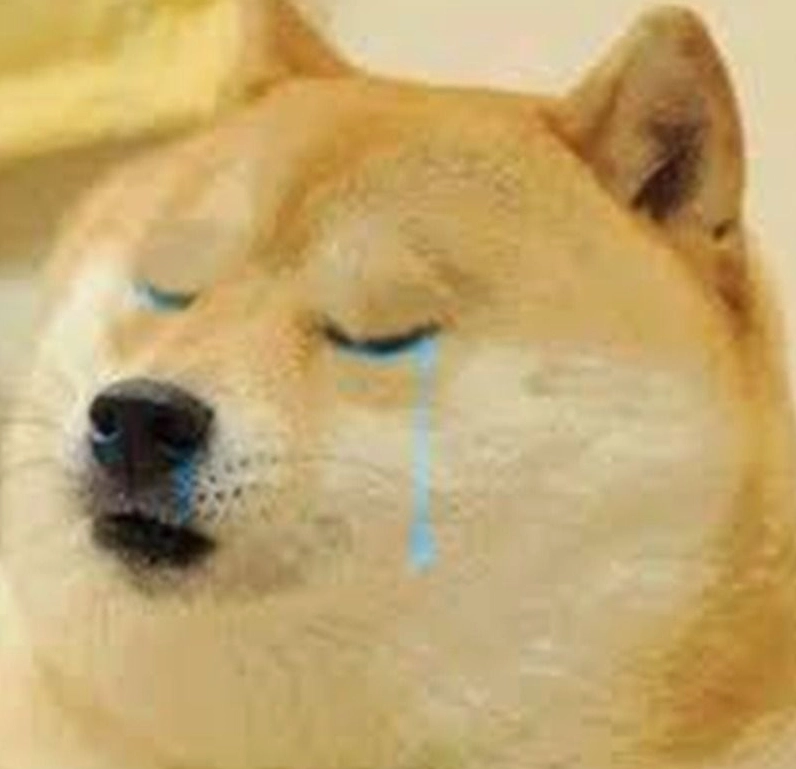 Chú chó vểnh tai hóng chuyện