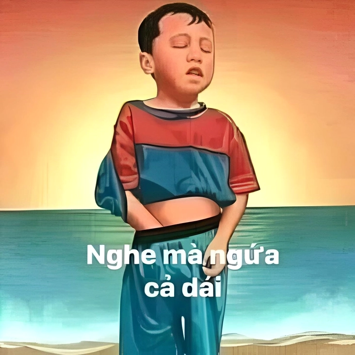 chửi meme
