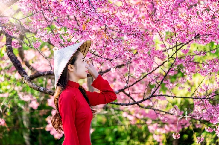 Cô gái diện áo dài truyền thống mỉm cười rạng rỡ đón mùa xuân