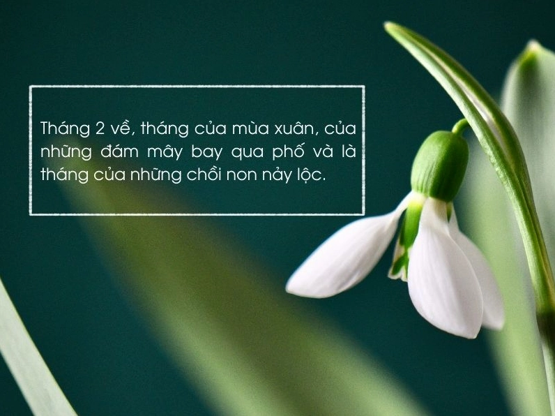 Cô gái tháng 2 với ánh mắt trong veo thu hút mọi ánh nhìn của người đối diện