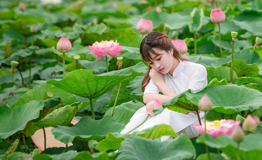 Cô gái thướt tha trong tà áo dài truyền thống dạo bước bên hồ sen