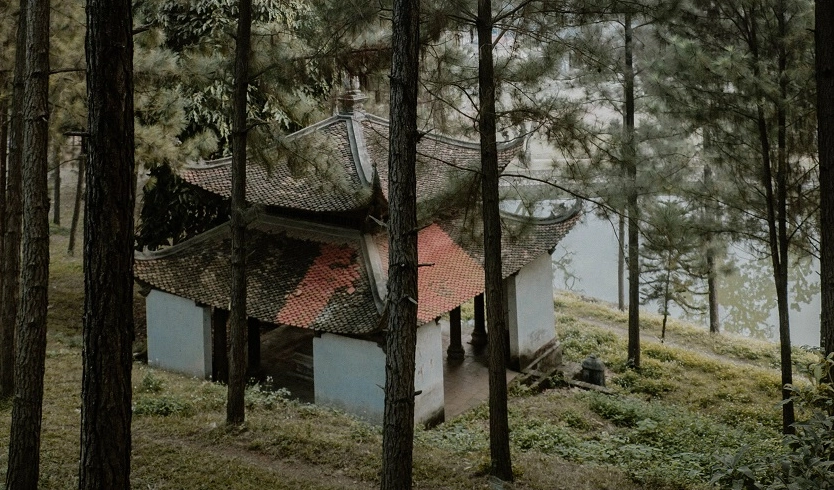 Con đường đá rêu phong dẫn lên cổng chùa bao quanh bởi cây cối xanh tươi