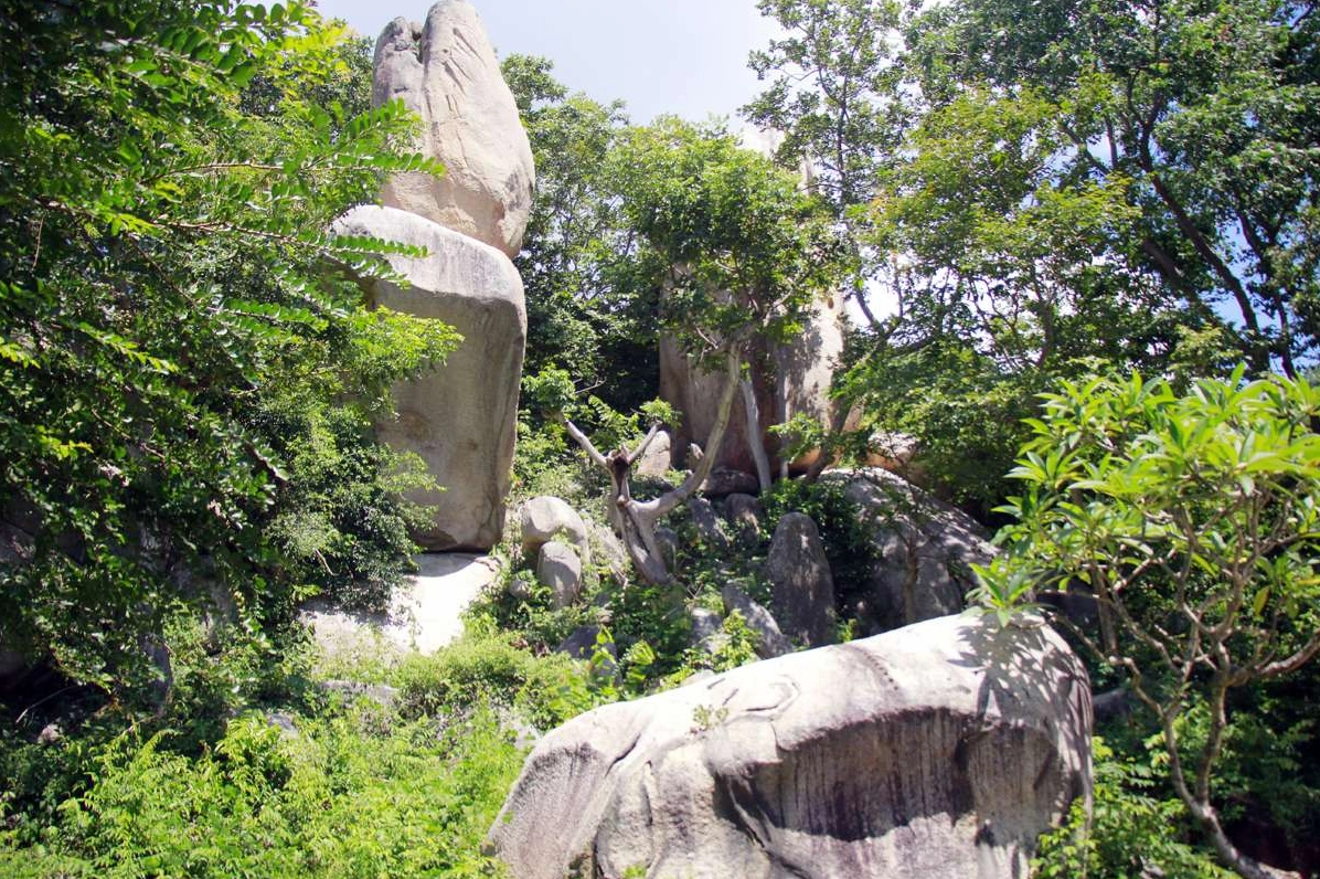 Con đường rợp bóng cây xanh dẫn lối vào khuôn viên Thiền Viện Trúc Lâm Chân Nguyên