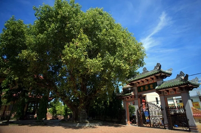 Cổng tam quan nguy nga tráng lệ chào đón Phật tử thập phương về đảnh lễ