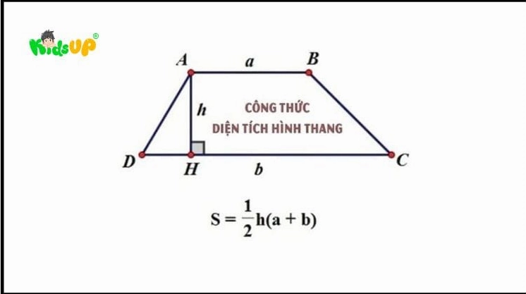 Công thức tính diện tích hình thang
