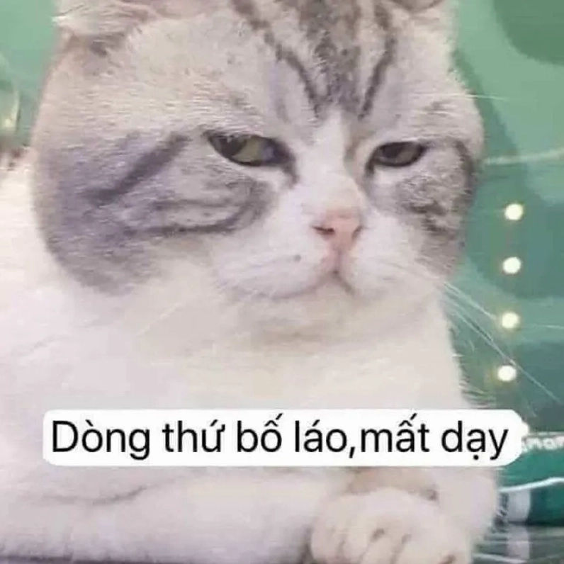 Cười đau bụng với loạt meme chửi nhau