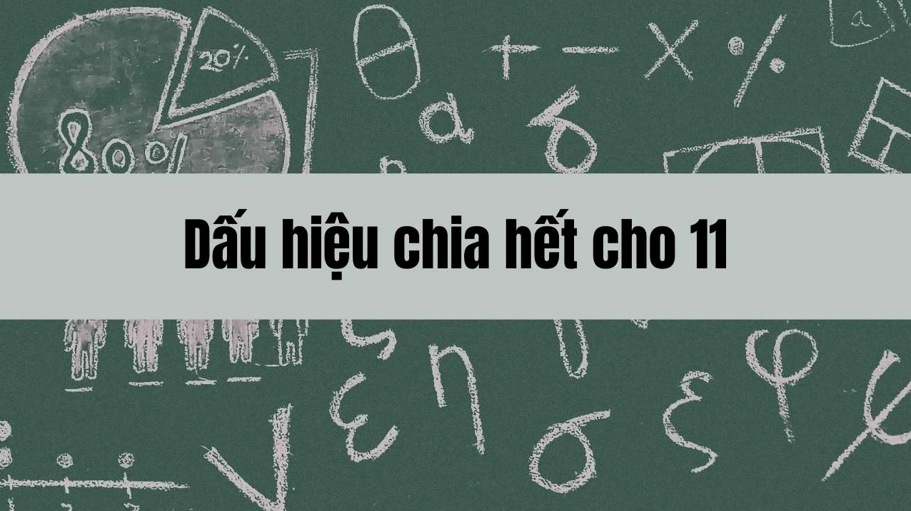 Dấu hiệu chia hết cho 11 và cách nhận biết chính xác số chia hết 11