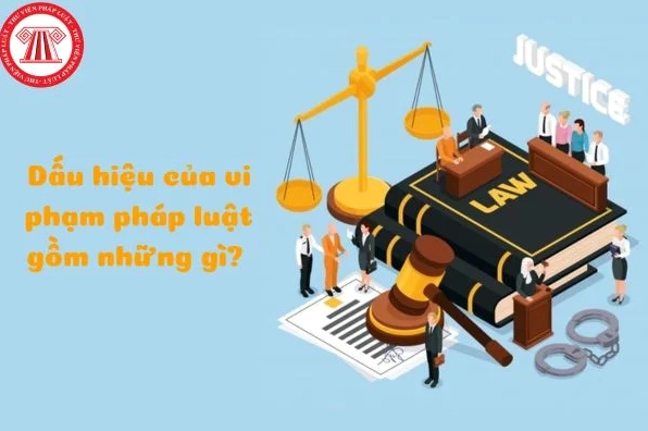 Dấu hiệu vi phạm pháp luật và các loại vi phạm