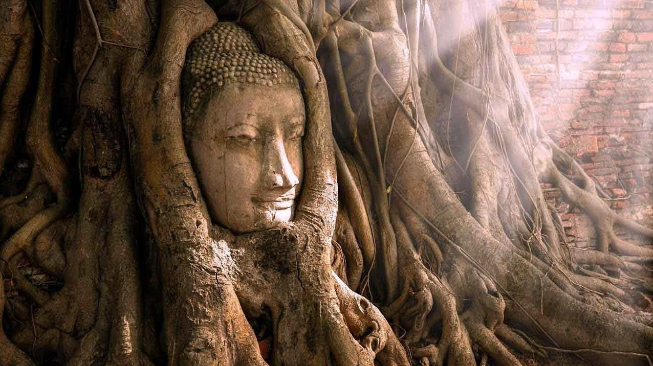 Di tích Đầu Phật trong rễ cây vô cùng nổi tiếng tại chùa Wat Mahathat Ayutthaya