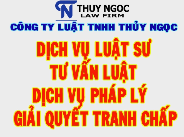 Dịch vụ luật sư tư vấn các vấn đề liên quan đến pháp luật xuất nhập cảnh
