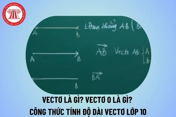 Định nghĩa khái niệm vectơ là gì vectơ 0 là gì và công thức tính độ dài