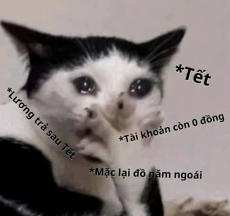 Đưa tiền meme hài hước