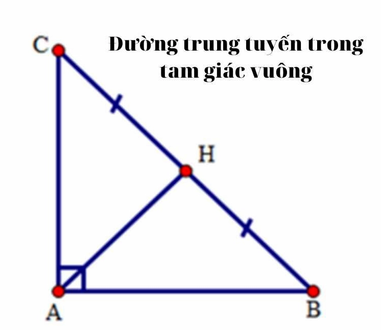 Đường trung tuyến trong tam giác vuông