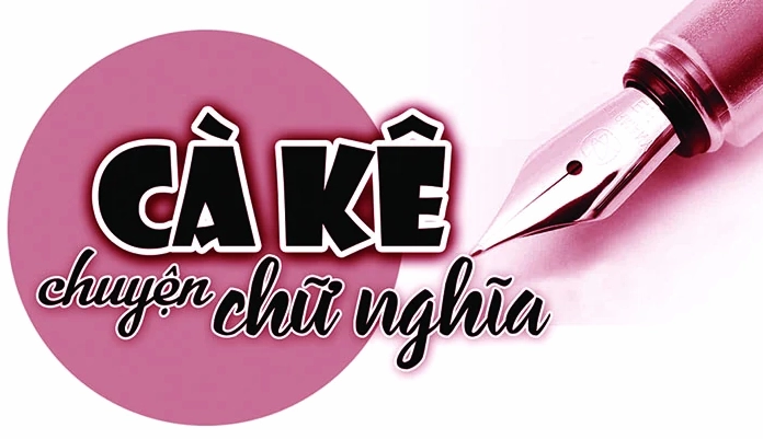 Giải thích khái niệm niên khóa và năm học trong môi trường giáo dục