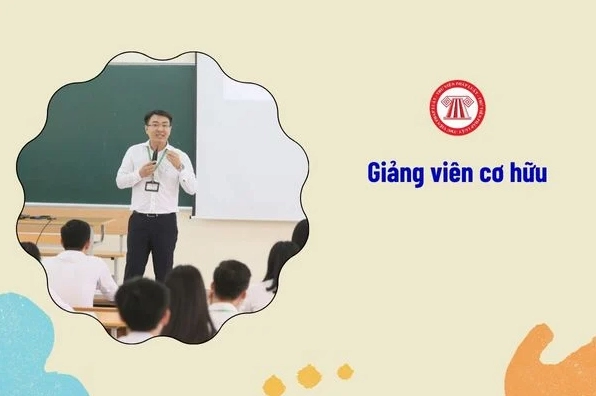 Giảng viên cơ hữu làm việc toàn thời gian tại các cơ sở giáo dục