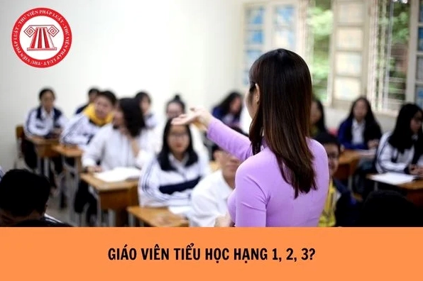 Giáo viên tiểu học hạng 1, 2, 3 là gì? Lương giáo viên tiểu học hạng 1 bao nhiêu?