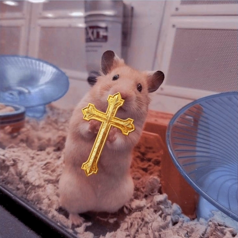 Giật mình với biểu cảm trong meme chuột sợ hãi