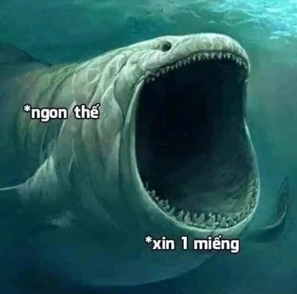 Gương mặt bất ngờ của meme há mồm khiến ai cũng bật cười