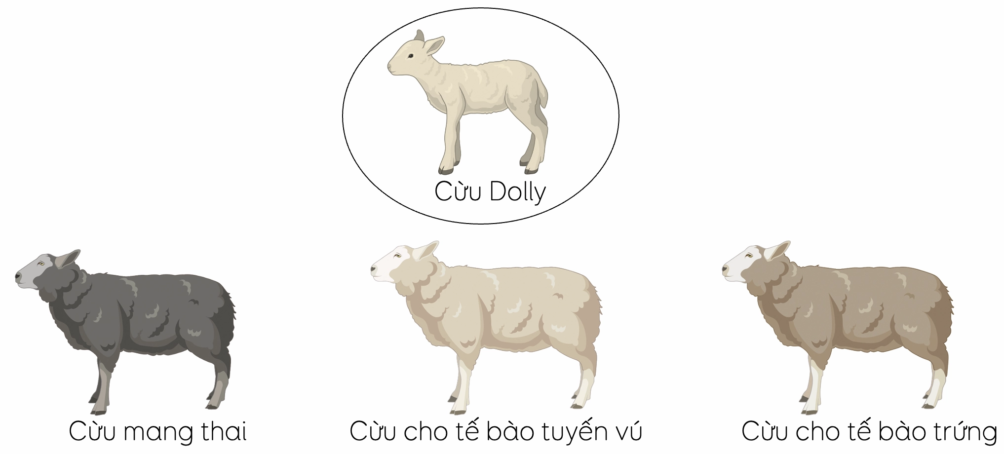 Hình ảnh biểu tượng loading đang tải dữ liệu
