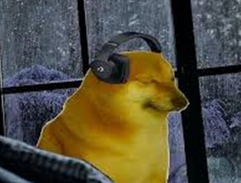 Hình ảnh chú chó với khuôn mặt ngơ ngác buồn cười