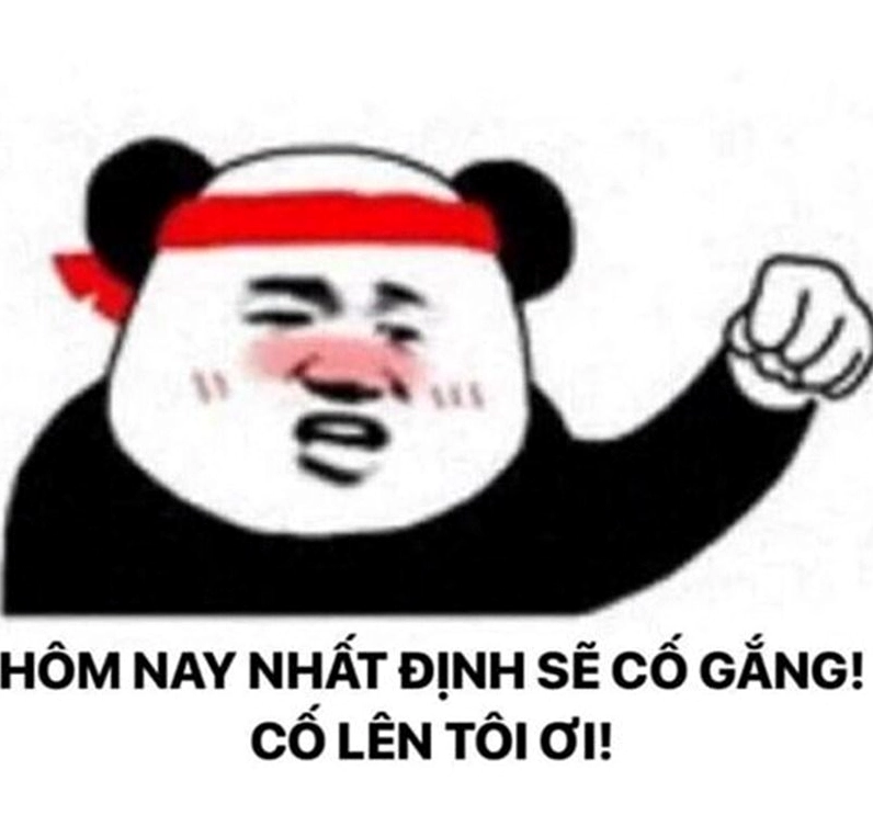 Hình ảnh cố lên meme con gấu trúc