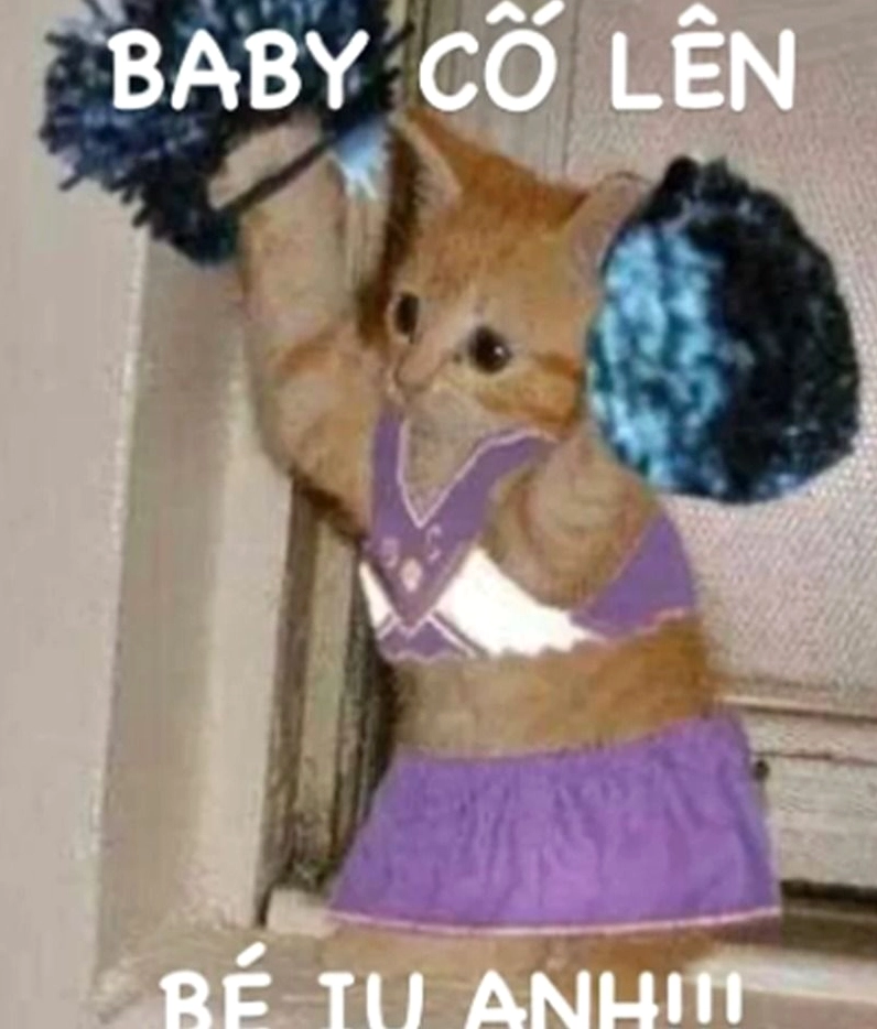 Hình ảnh cố lên meme con mèo