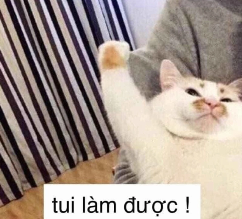 Hình ảnh cố lên meme con mèo