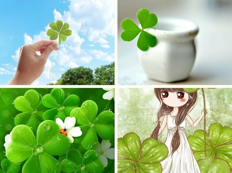 Hình ảnh cỏ may mắn đẹp nhất tải miễn phí cho máy tính