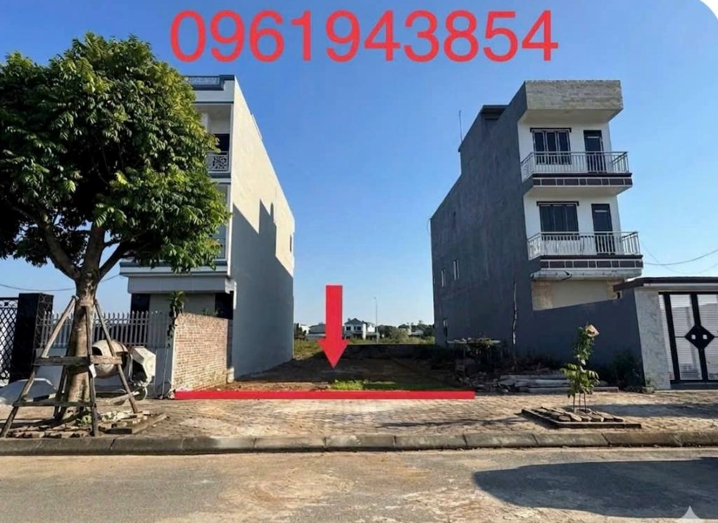 Hình ảnh hoa sen tượng trưng cho sự thanh khiết của cõi Niết bàn