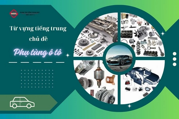 Hình ảnh lão cung tiếng trung là gì thể hiện qua sự chăm sóc gia đình