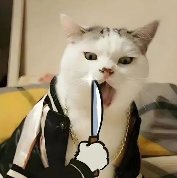 Hình ảnh mèo cầm dao meme