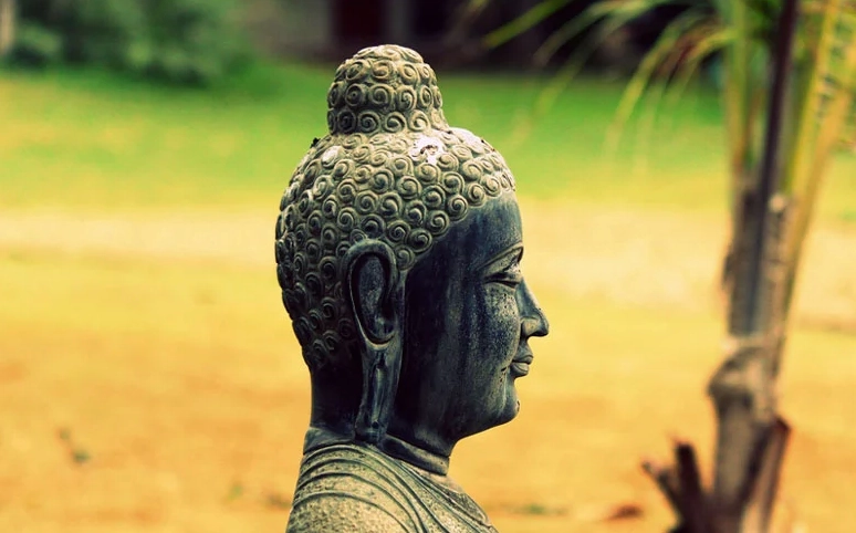 Hình ảnh minh họa cho câu hỏi nhân quả là gì trong cuộc sống