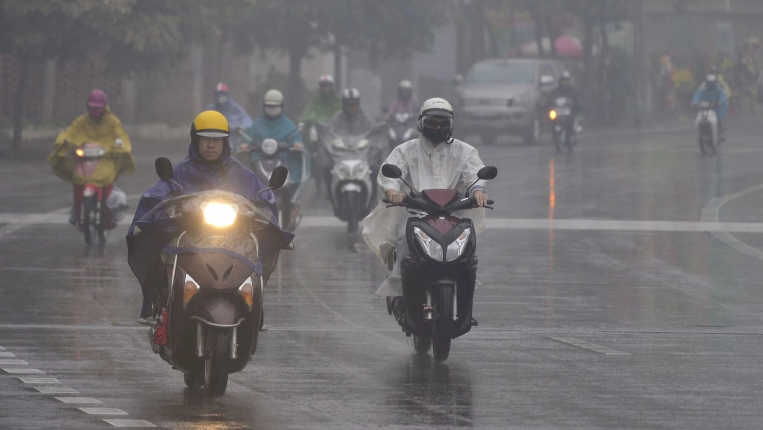 Hình ảnh minh họa cơn gió bấc thổi qua những cành cây trơ trụi