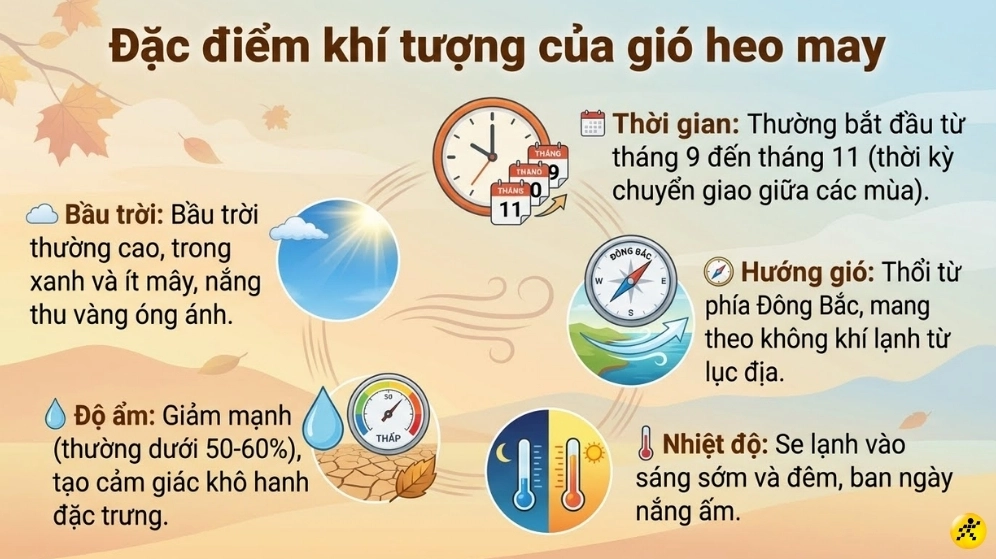 Hình ảnh minh họa đặc điểm khí tượng của gió heo may