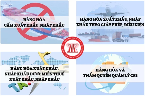 Hình ảnh minh họa về hoạt động tra cứu hàng hóa xuất nhập khẩu