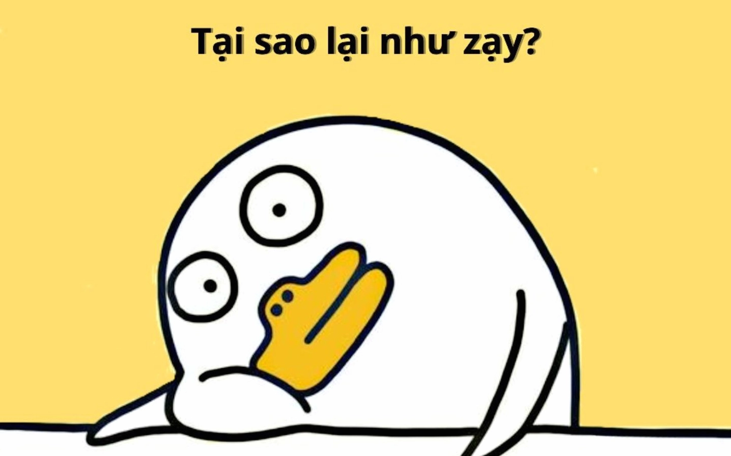 hình chế bựa cười giả trân