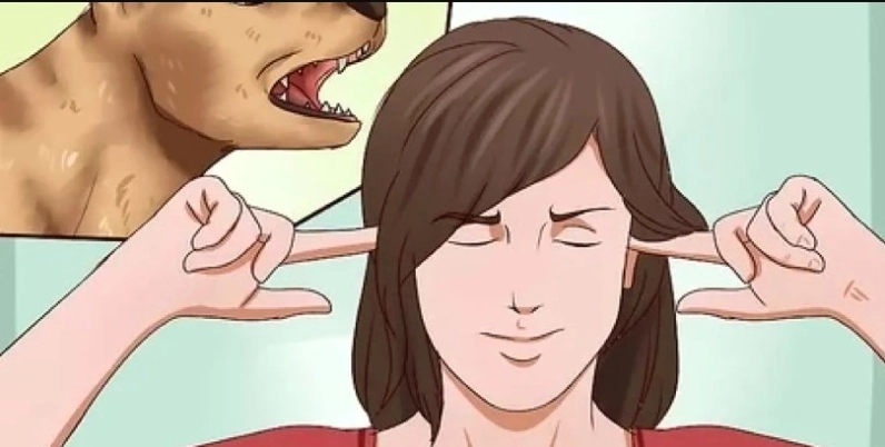 Hình chó đang sủa gâu gâu