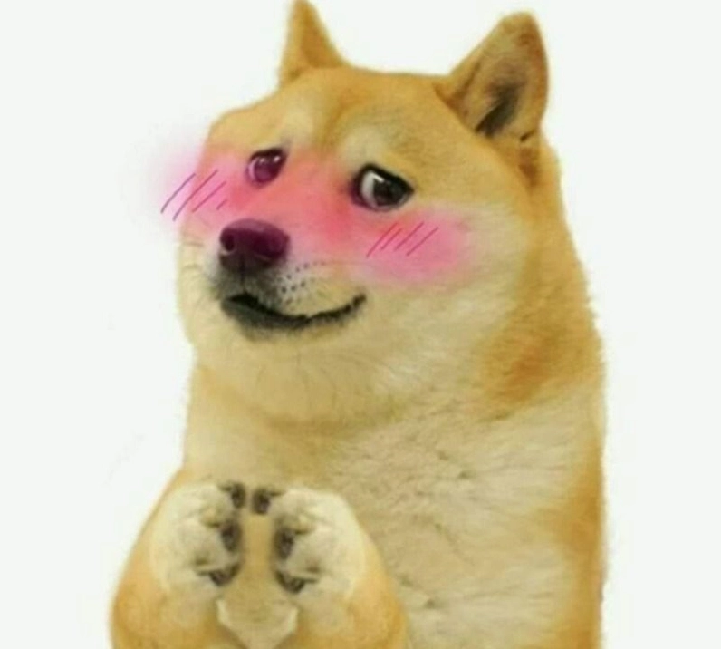 Hình chó nhướng mày phán xét