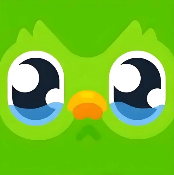 hình duolingo meme