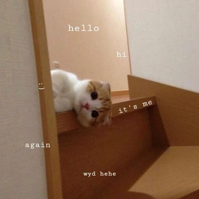 Hình meme hello đáng yêu nhất quả đất