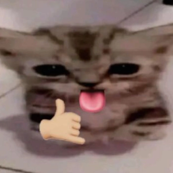 Hình meme hello mèo biểu cảm ngơ ngác