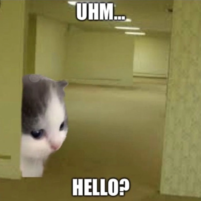 Hình meme hello mèo cute vô lối