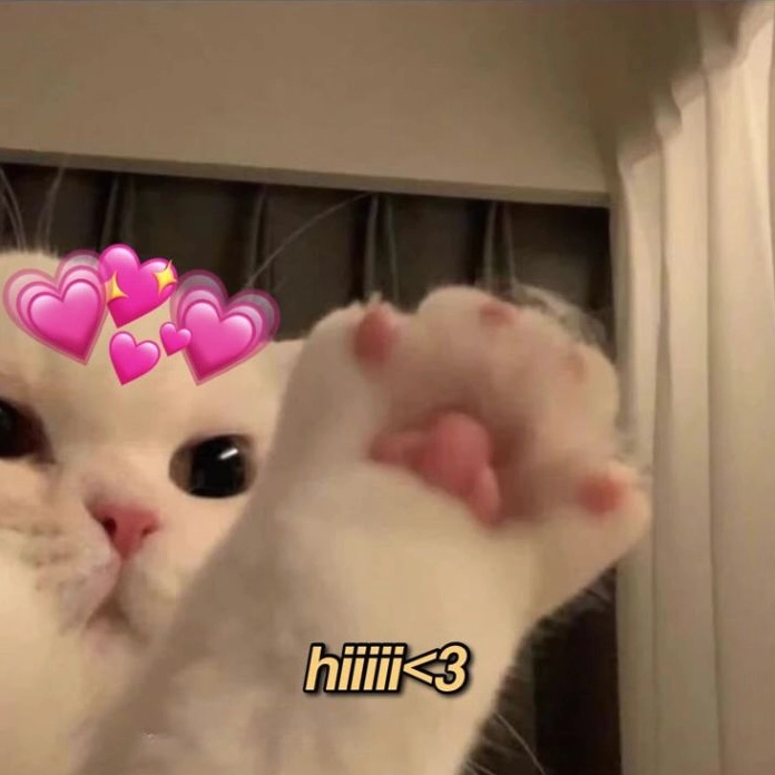 Hình meme hello mèo đáng yêu vẫy tay