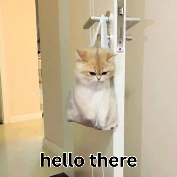 Hình meme hello siêu đáng yêu đốn tim