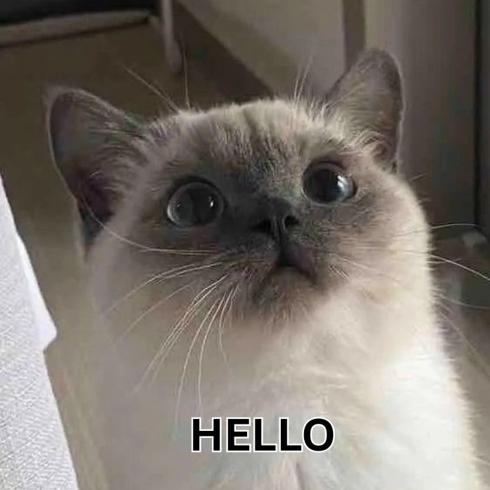 Hình meme hello siêu đẹp mắt
