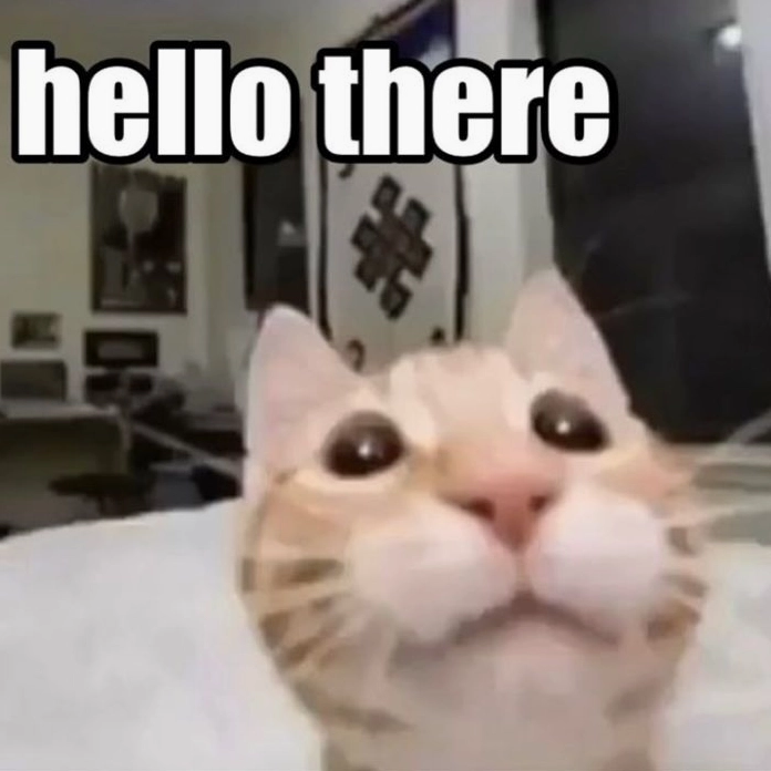 Hình meme hello siêu xinh xắn