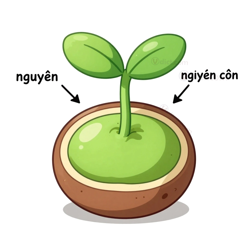 Hình minh họa định nghĩa nội tại trong từ điển