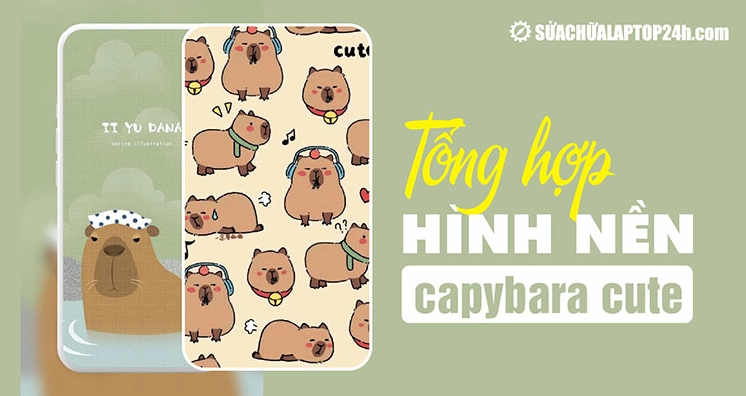 Hình nền capybara cute cho điện thoại