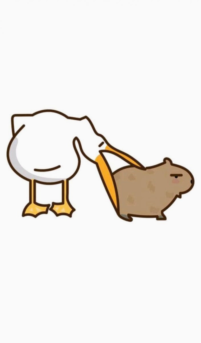 Hình nền capybara cute đơn giản